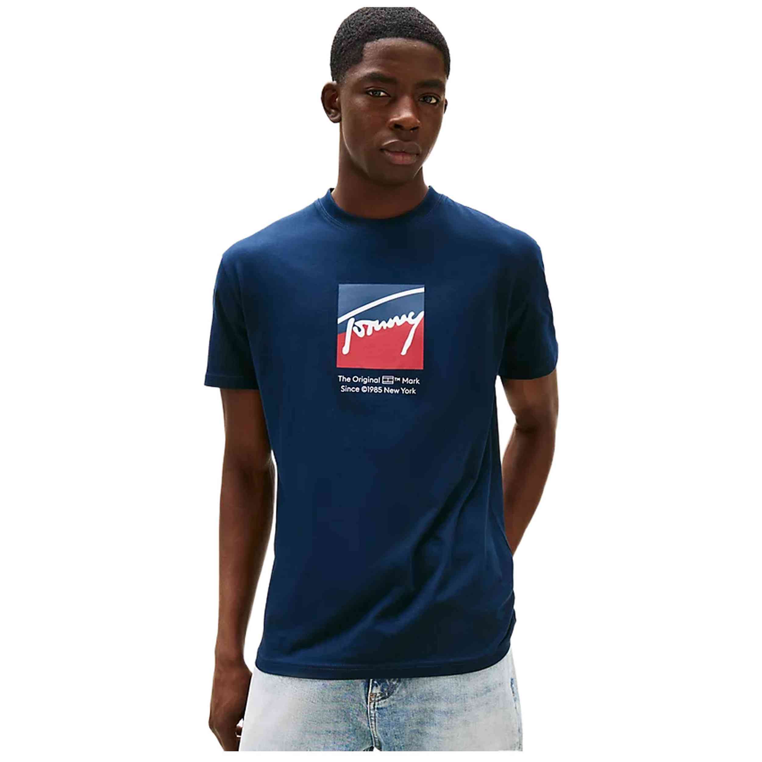 Camiseta De Manga Corta Tommy Hilfiger Dm0Dm21940C1G