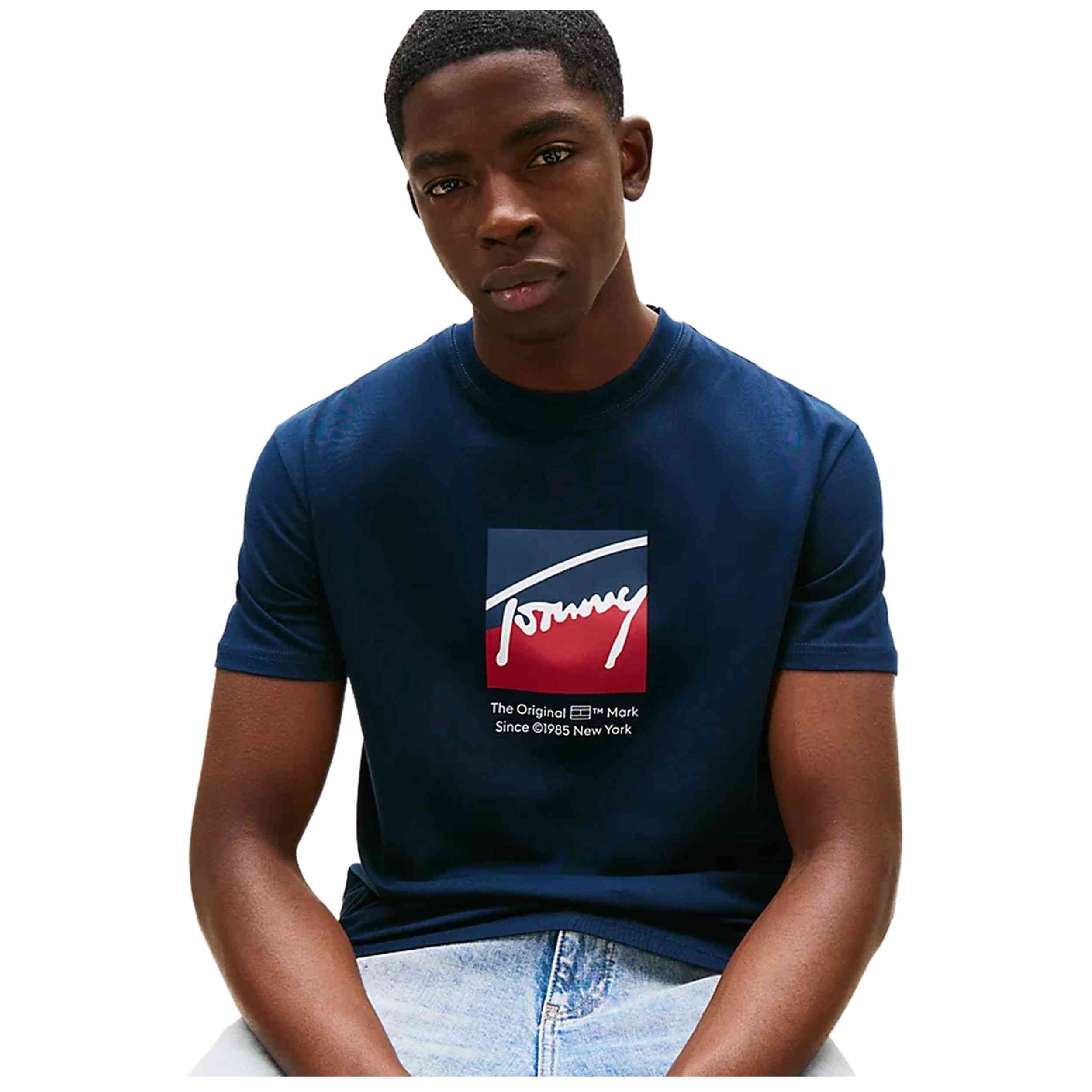 Camiseta De Manga Corta Tommy Hilfiger Dm0Dm21940C1G