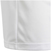 Imagen del producto con referencia DP3221