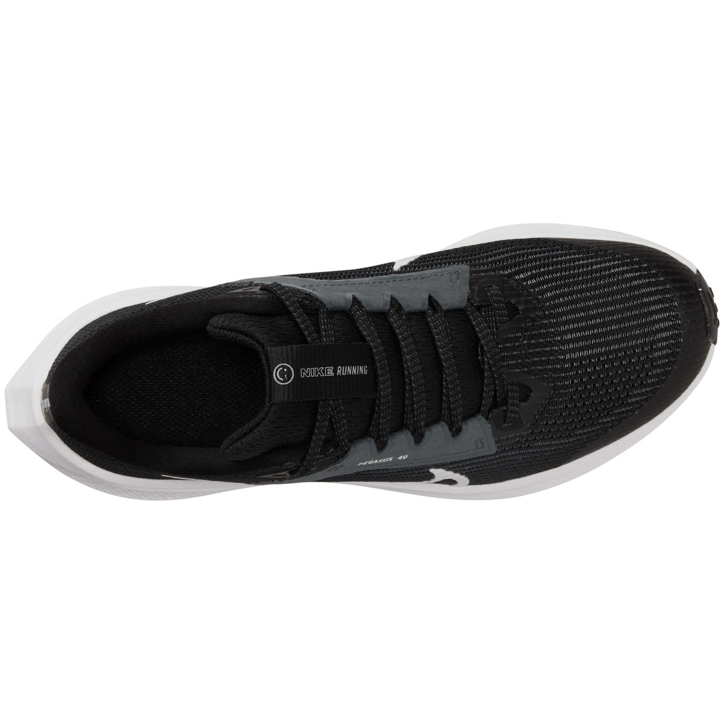 Imagen del producto con referencia DX2498-001