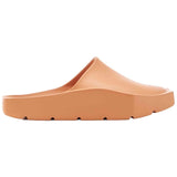 Chanclas Jordan