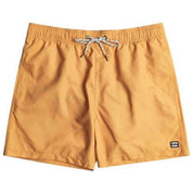 Bañador Billabong All Day Lb