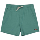 Bañador Billabong Every Other Day 17