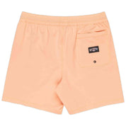 Bañador Billabong Every Other Day Lb