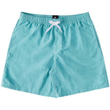 Dc Shoes Wayford Shorts
