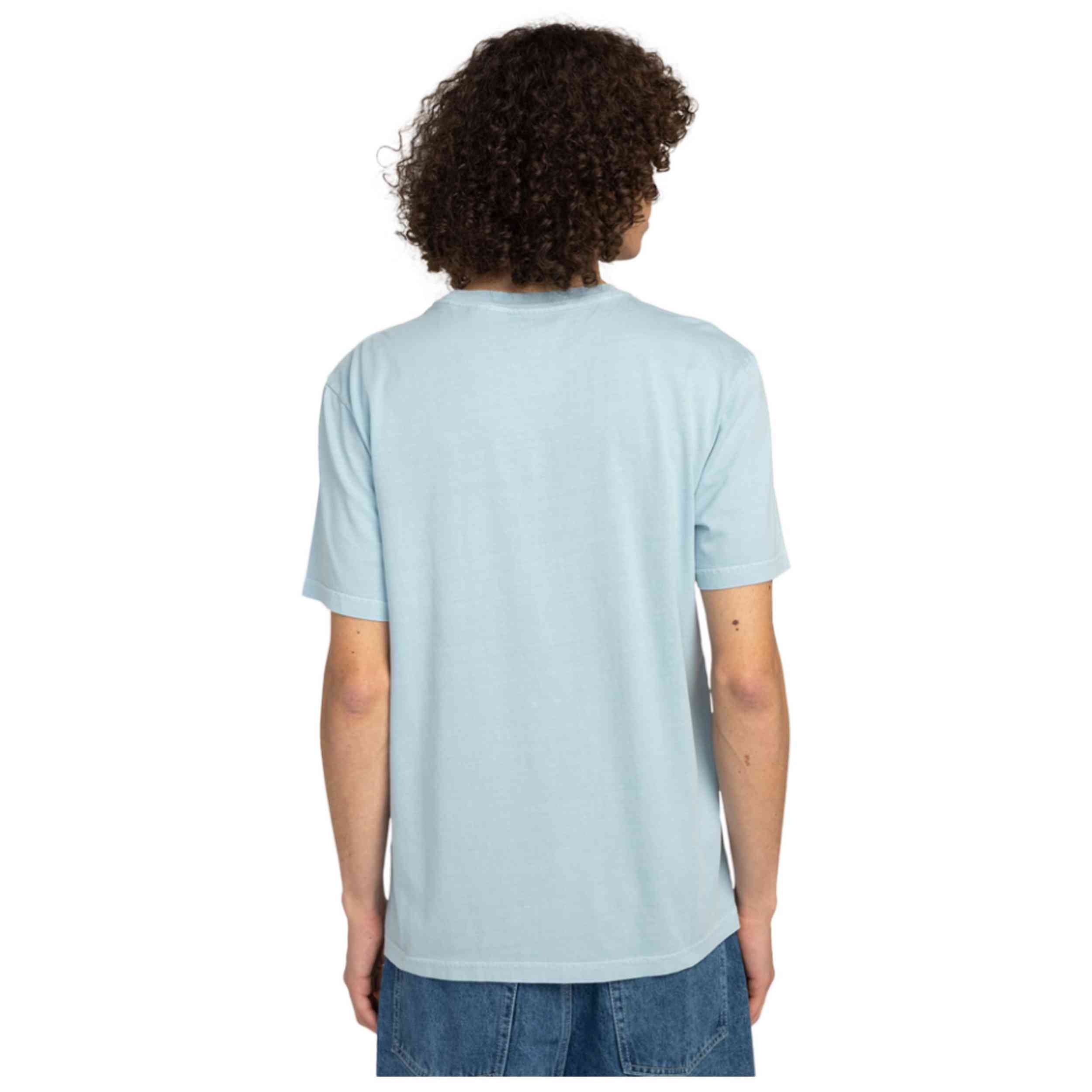 Camiseta De Manga Corta Element Lowcase Pigment