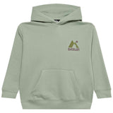 Sudadera Con Capucha Quiksilver Graphic "Iceberg Green"