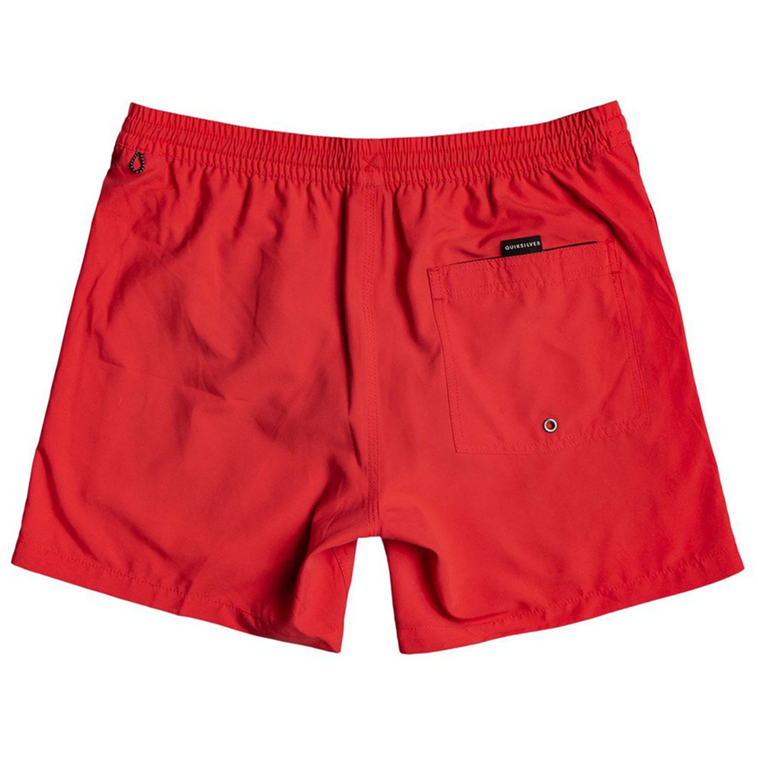 Bañador Quiksilver Everyday 13