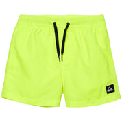 Bañador Quiksilver Everyday 13