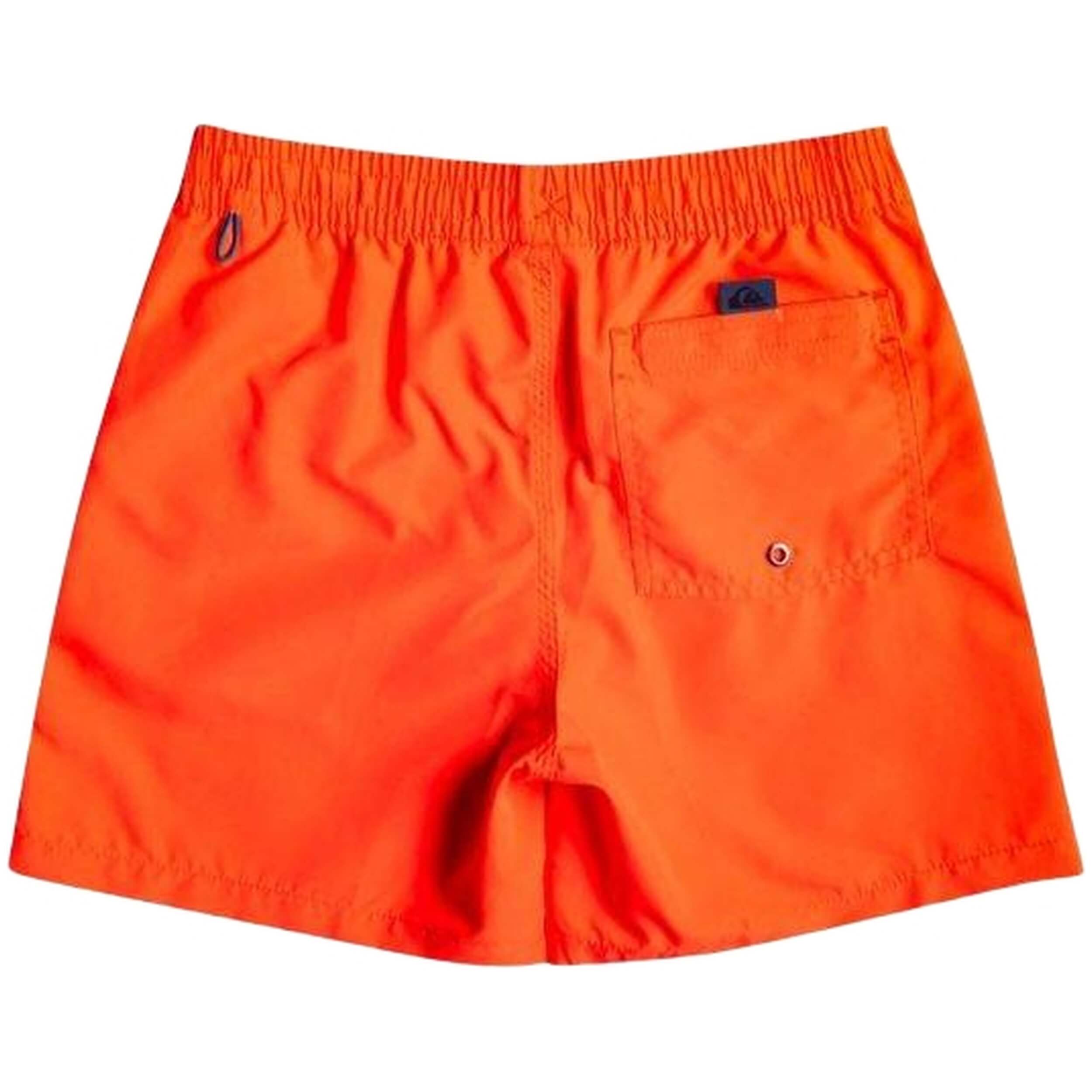 Bañador Quiksilver Vert 14 Nnj0