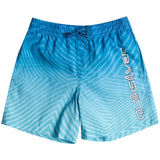 Bañador Quiksilver Everyday Warped Logo 14