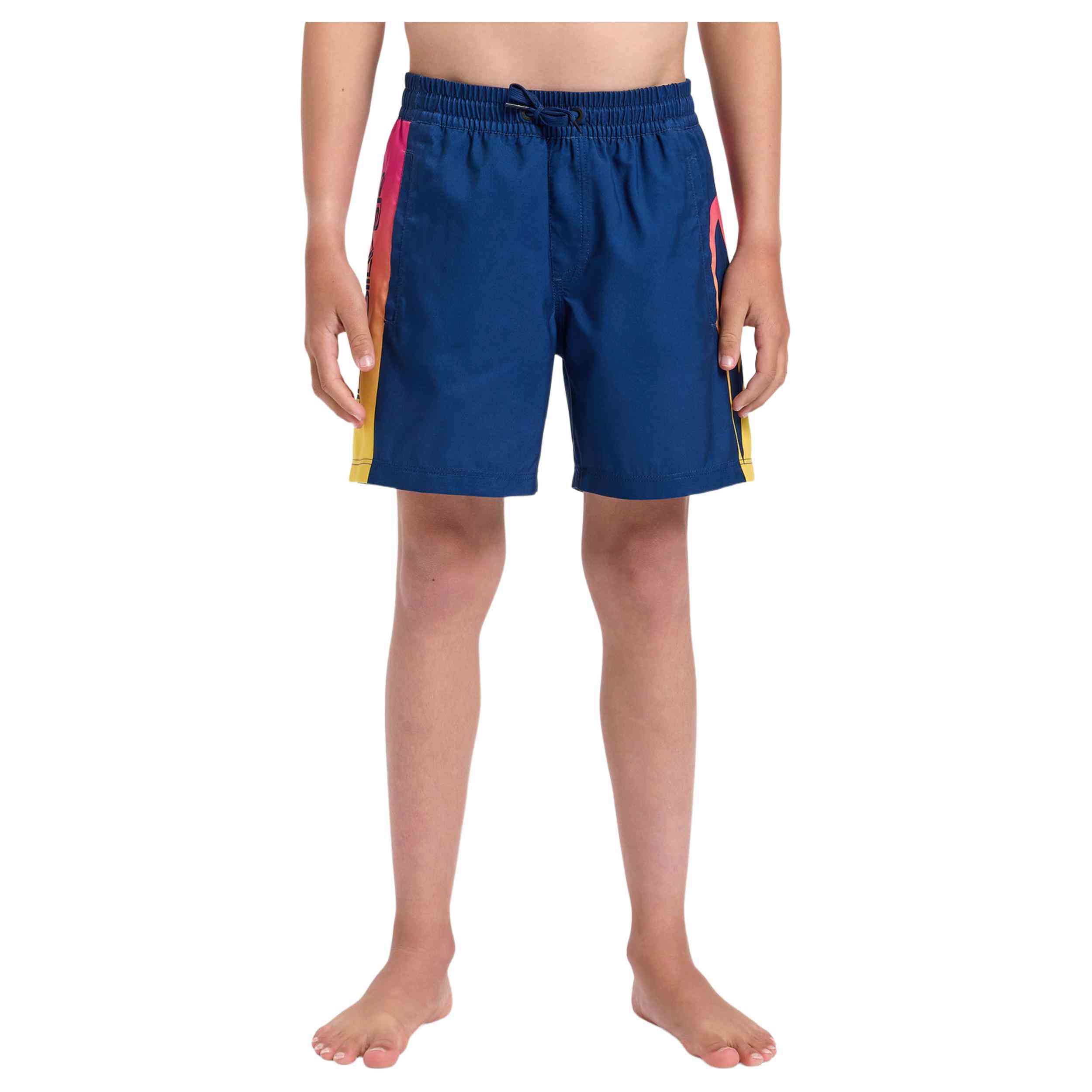 Bañador Quiksilver Everyday Holmes Volley 14