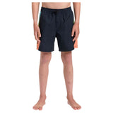 Bañador Quiksilver Everyday Holmes Volley 14