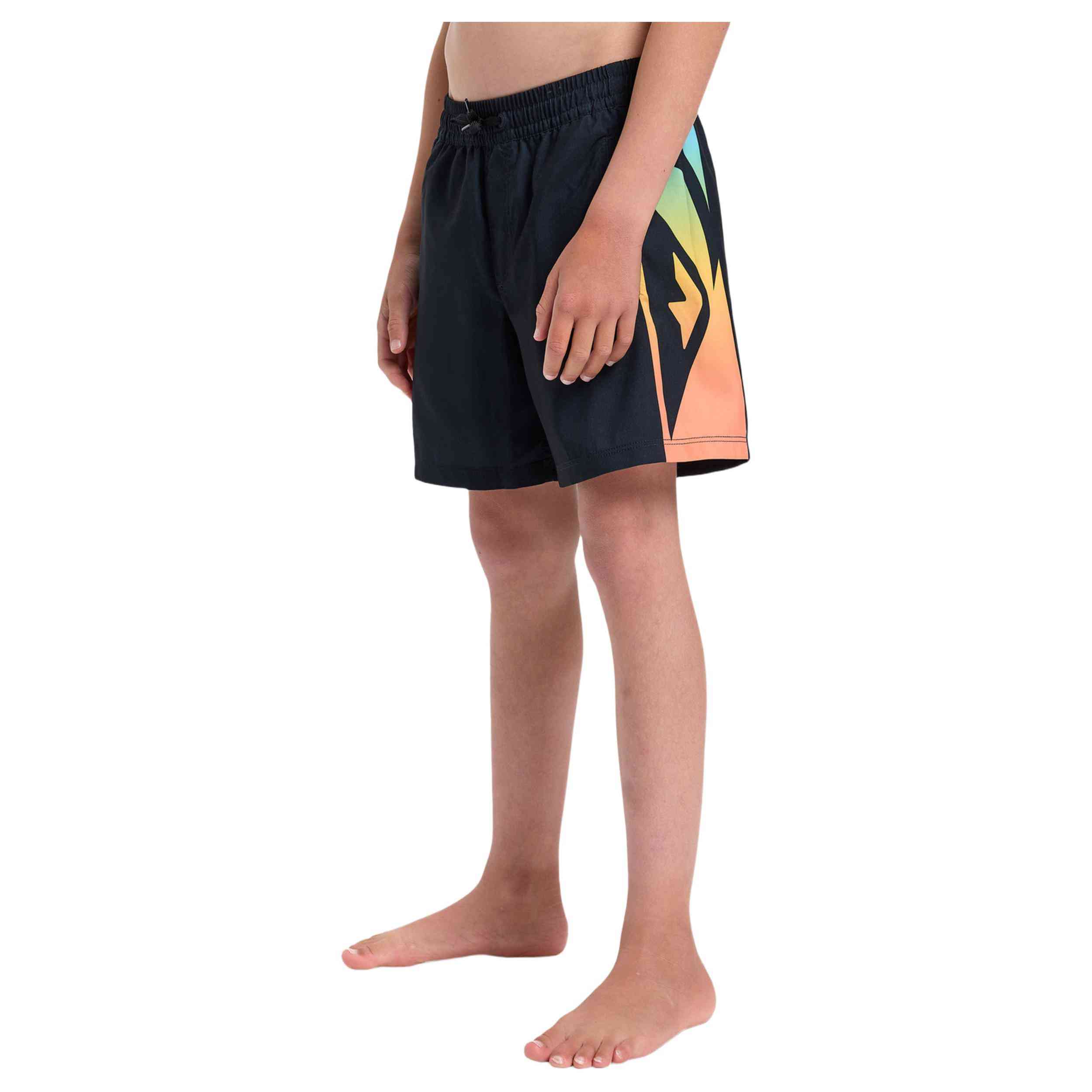 Bañador Quiksilver Everyday Holmes Volley 14