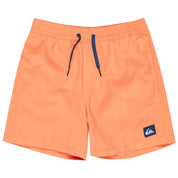 Bañador Quiksilver Everyday Solid Volley 15