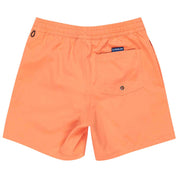 Bañador Quiksilver Everyday Solid Volley 15