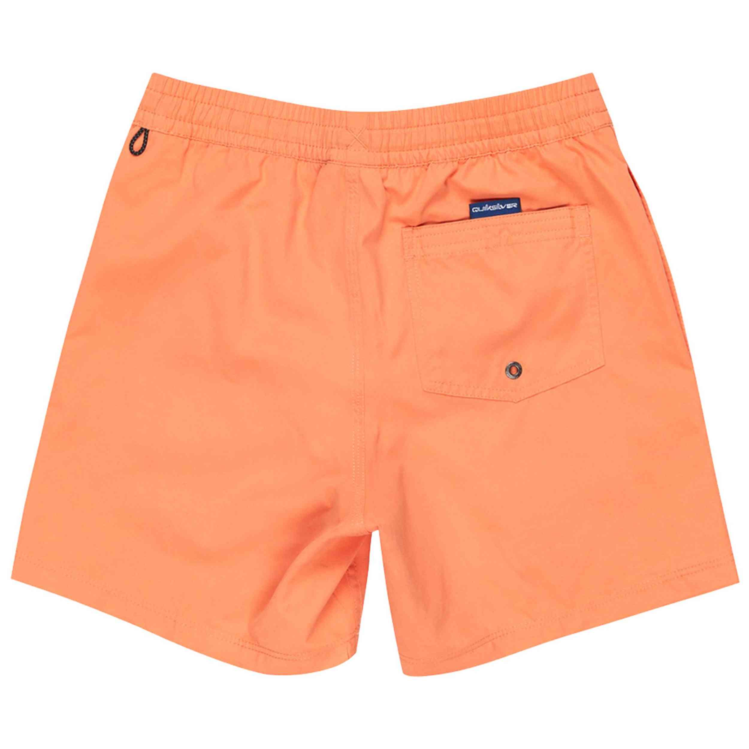 Bañador Quiksilver Everyday Solid Volley 15