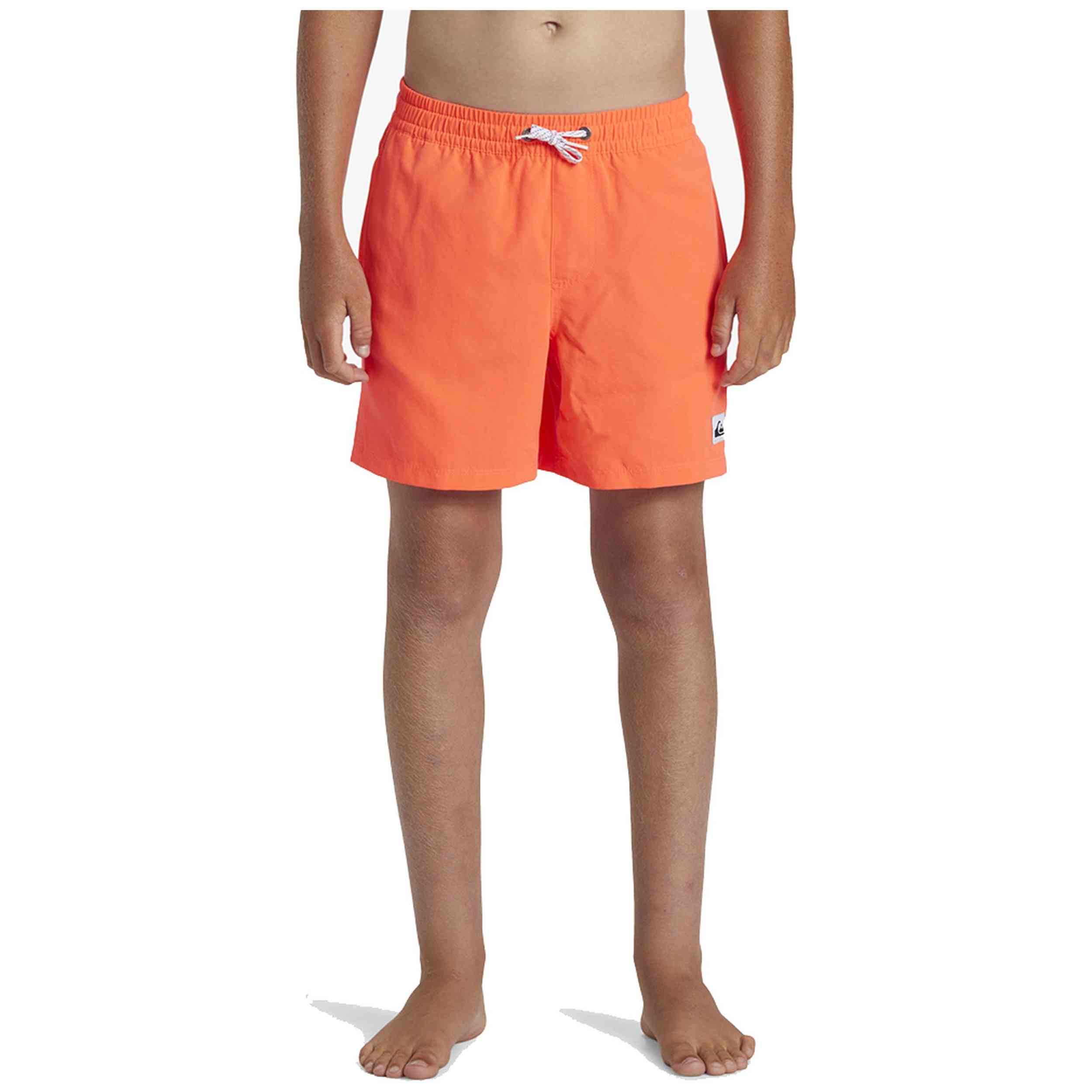 Bañador Quiksilver Everyday Solid Volley 15
