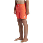 Bañador Quiksilver Everyday Solid Volley 15