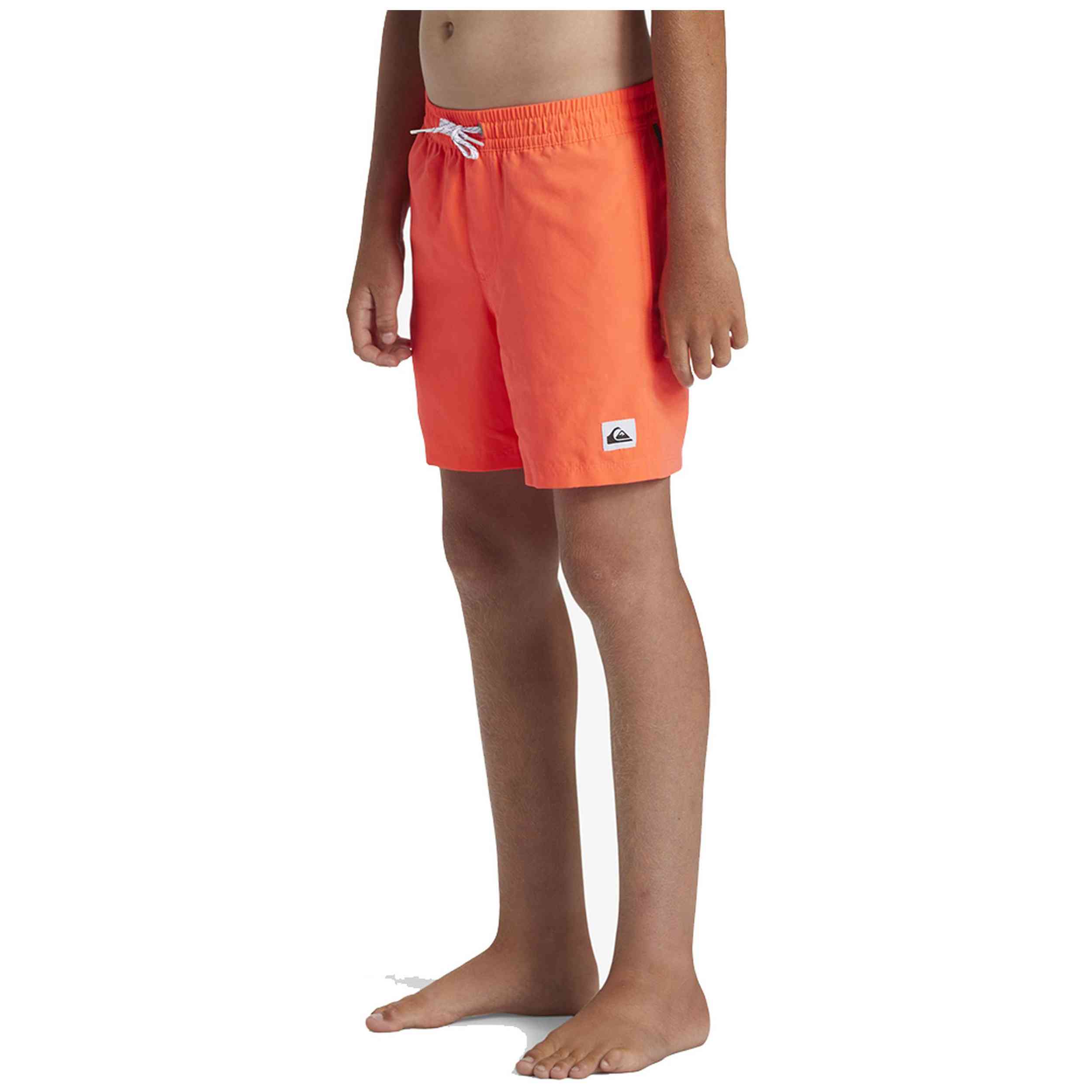Bañador Quiksilver Everyday Solid Volley 15