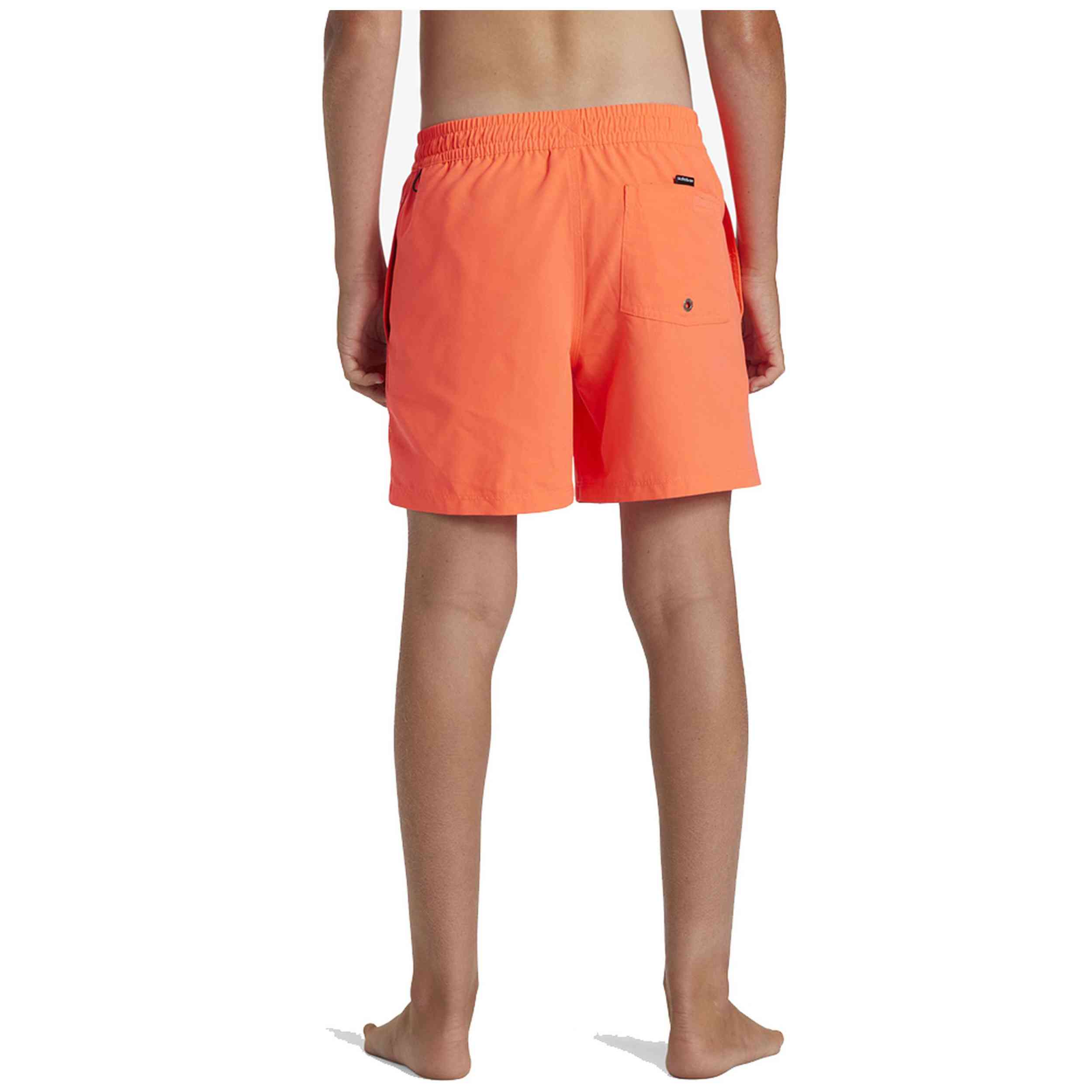 Bañador Quiksilver Everyday Solid Volley 15