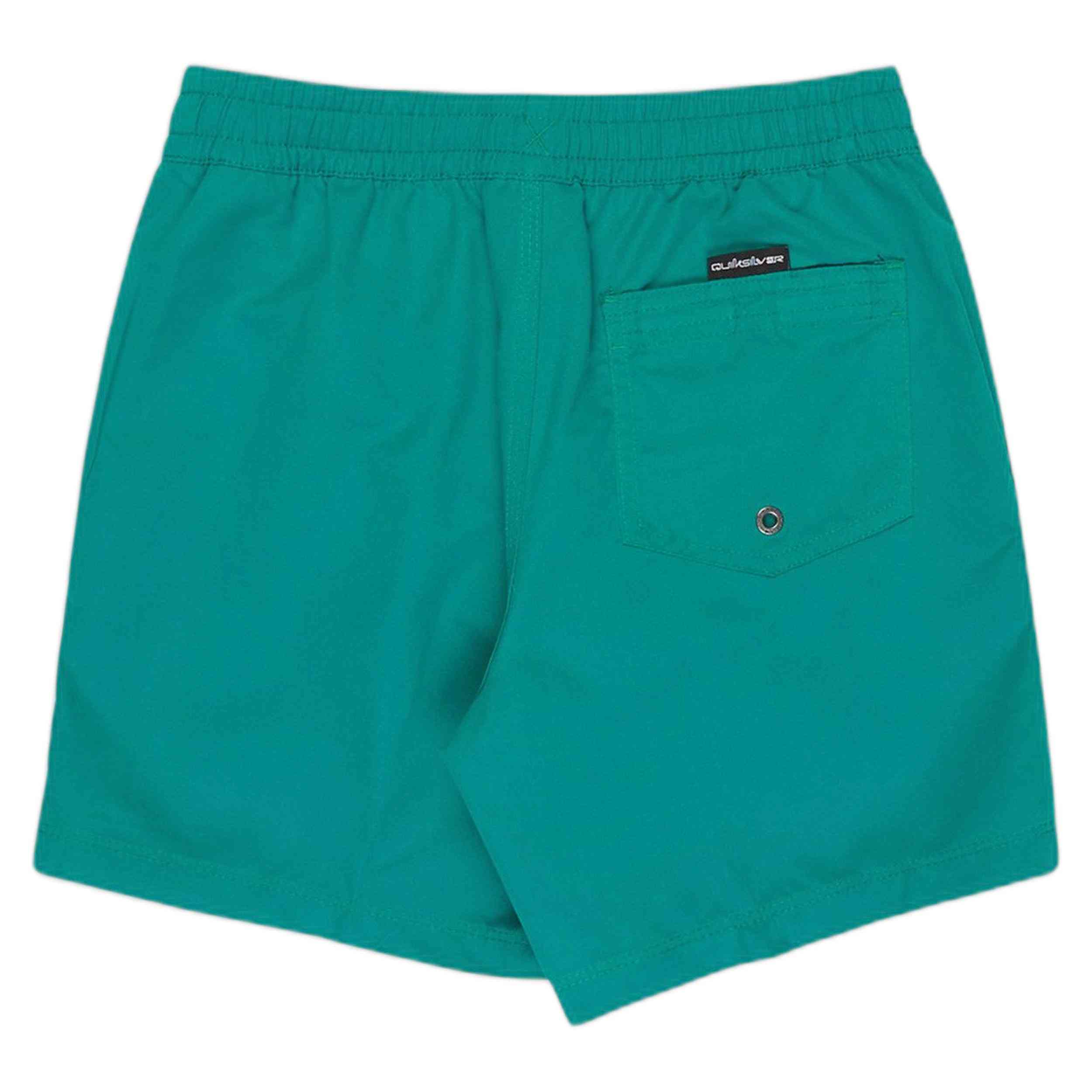 Bañador Quiksilver Everyday Solid 14