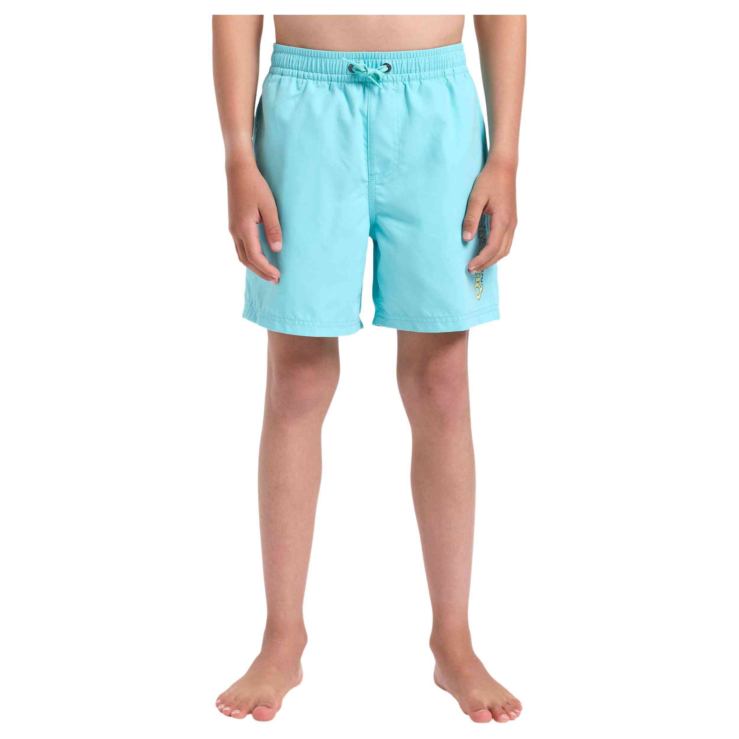 Bañador Quiksilver Spl Fineline 14
