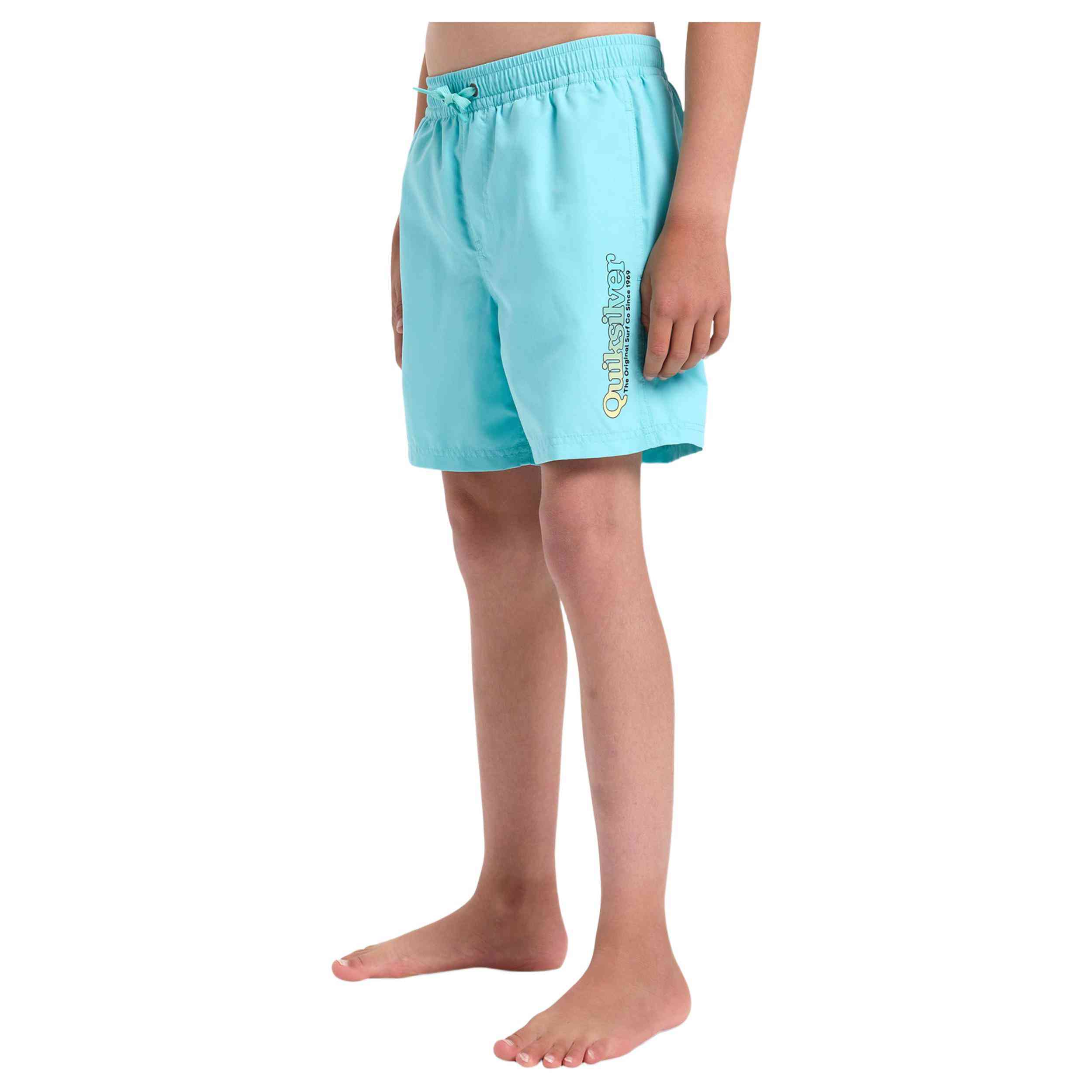 Bañador Quiksilver Spl Fineline 14