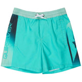 Bañador Quiksilver Everyday Holmes (Bjk6)