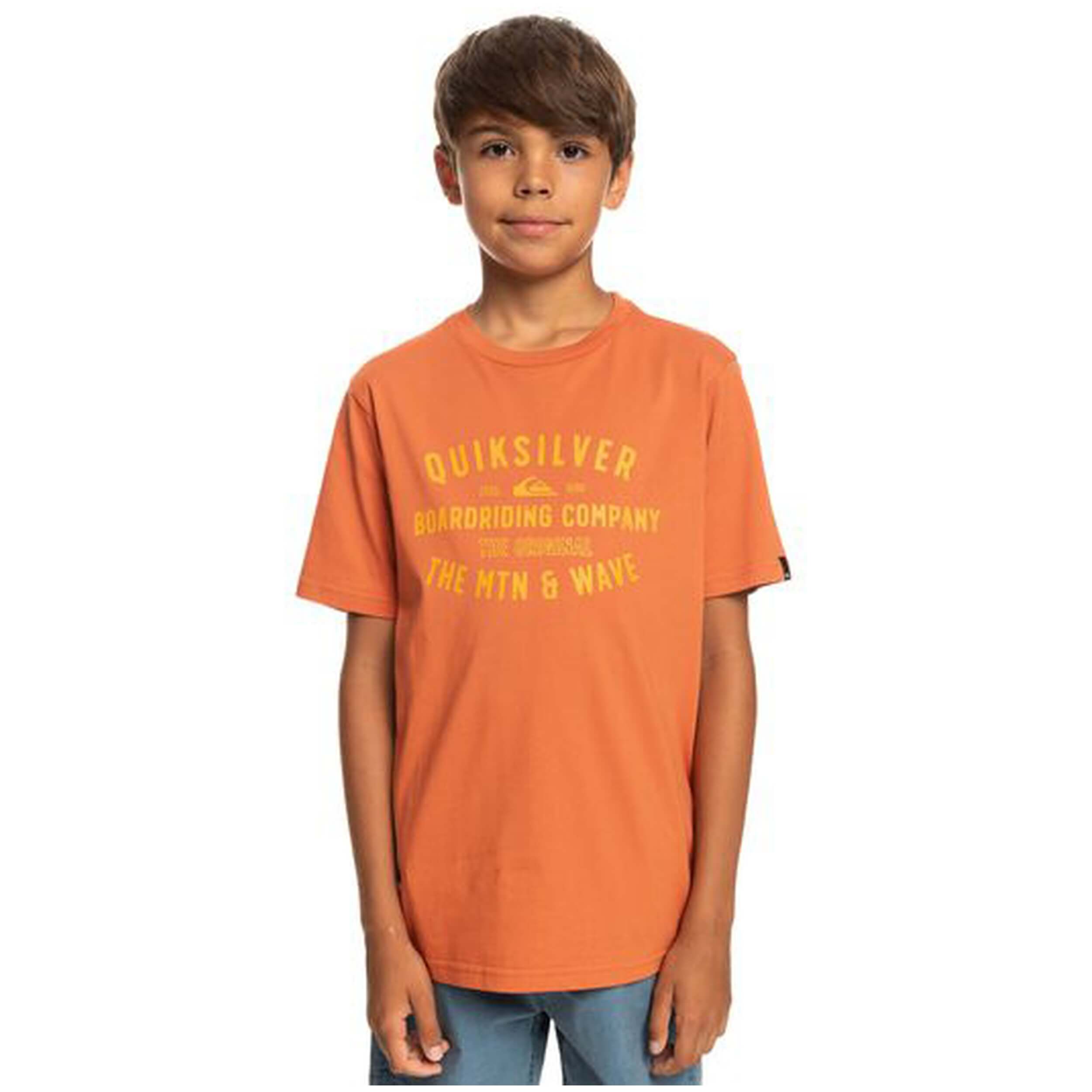Camiseta De Manga Corta Quiksilver Qssurflockup