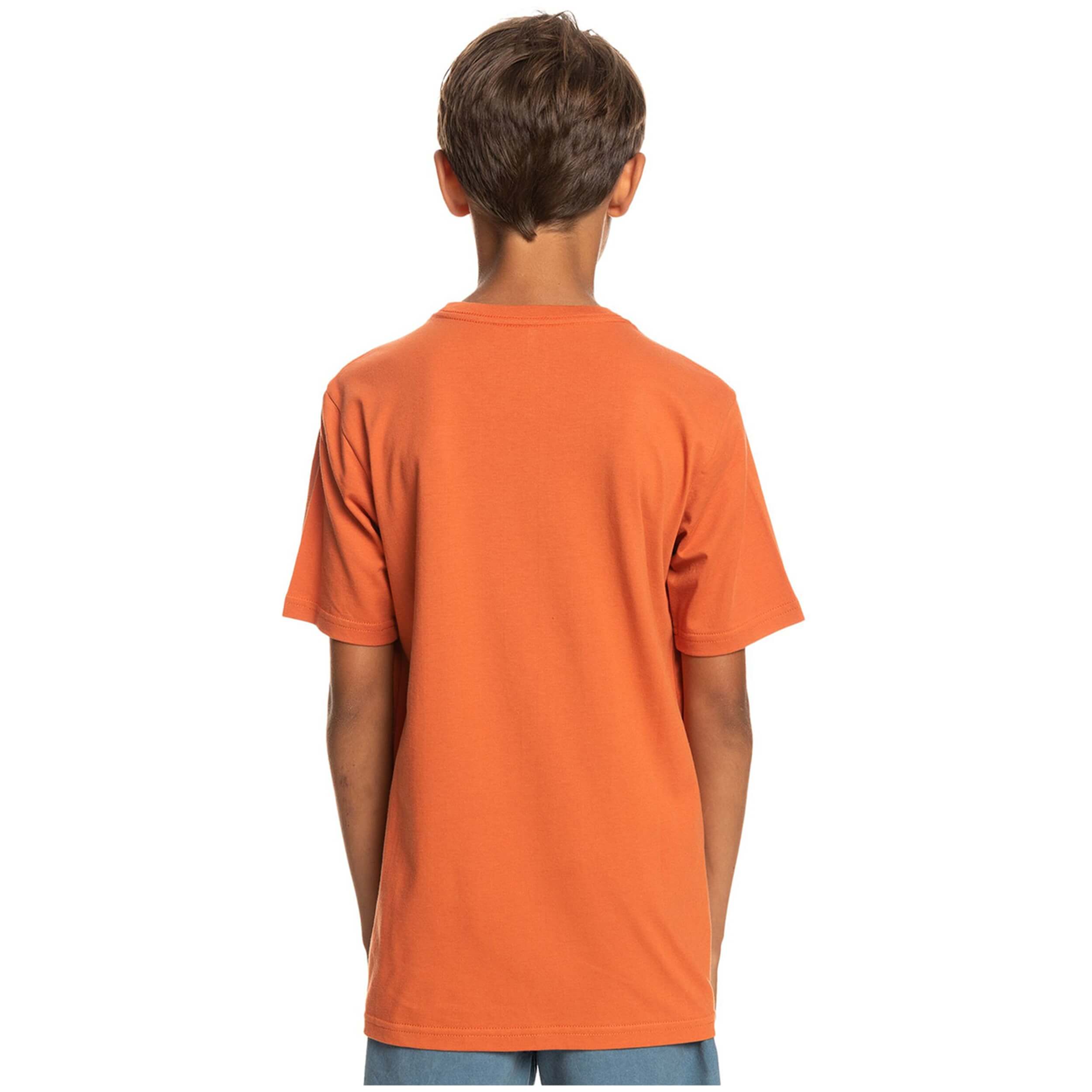 Camiseta De Manga Corta Quiksilver Qssurflockup