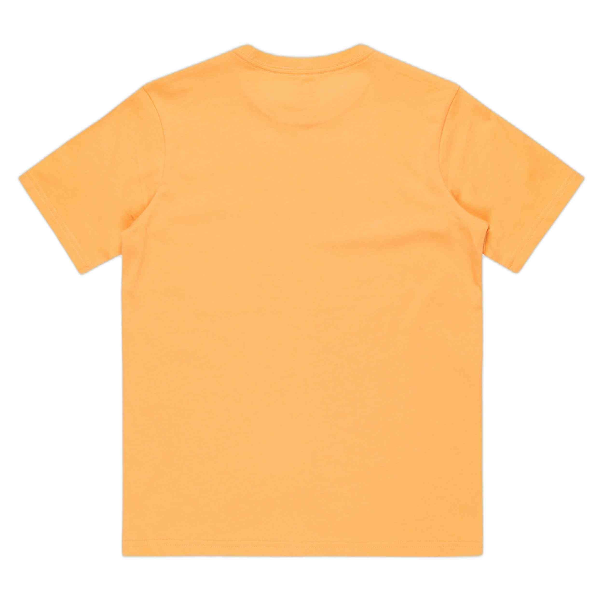 Camiseta De Manga Corta Quiksilver Sun Faded