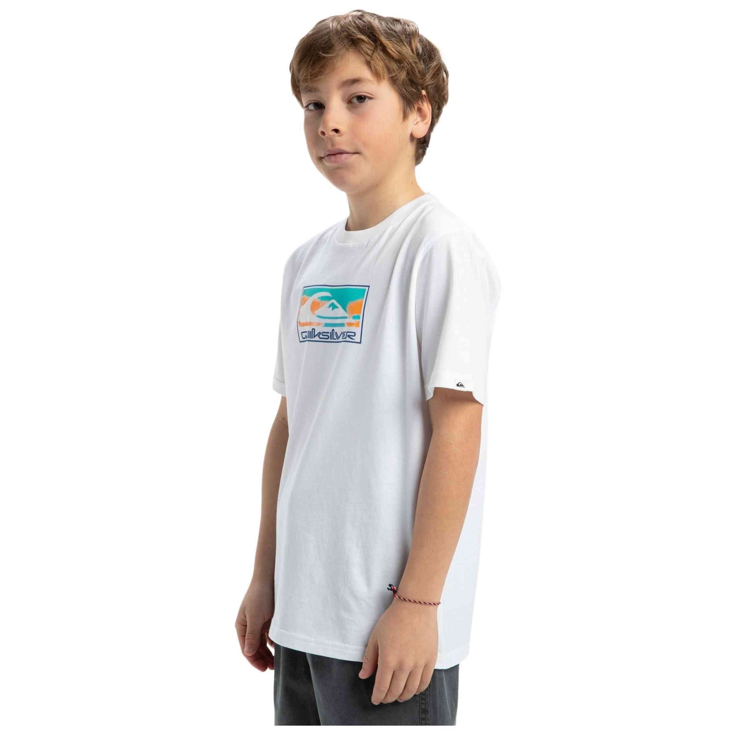 Camiseta De Manga Corta Quiksilver Ev Gradient Box