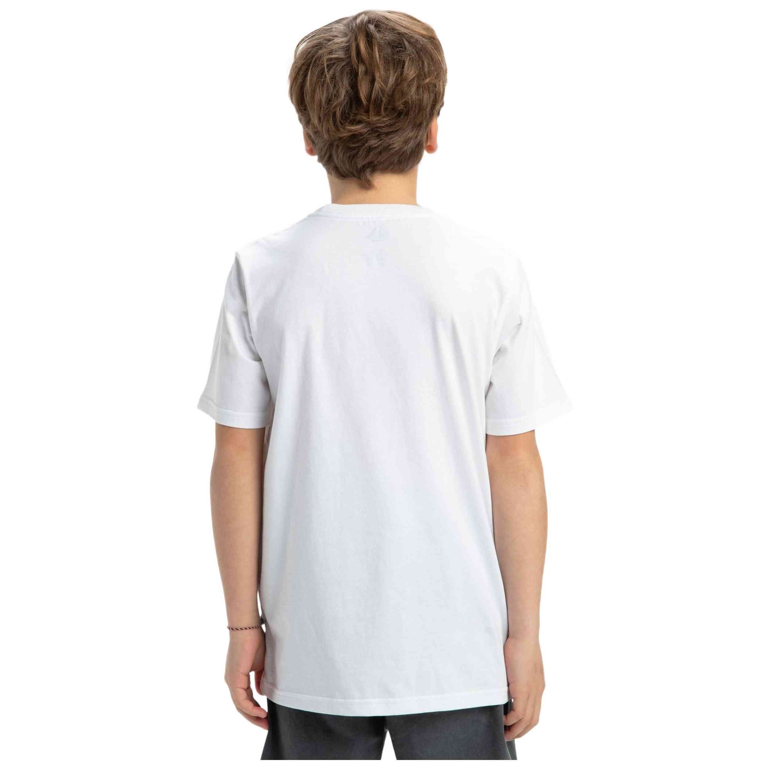 Camiseta De Manga Corta Quiksilver Ev Gradient Box