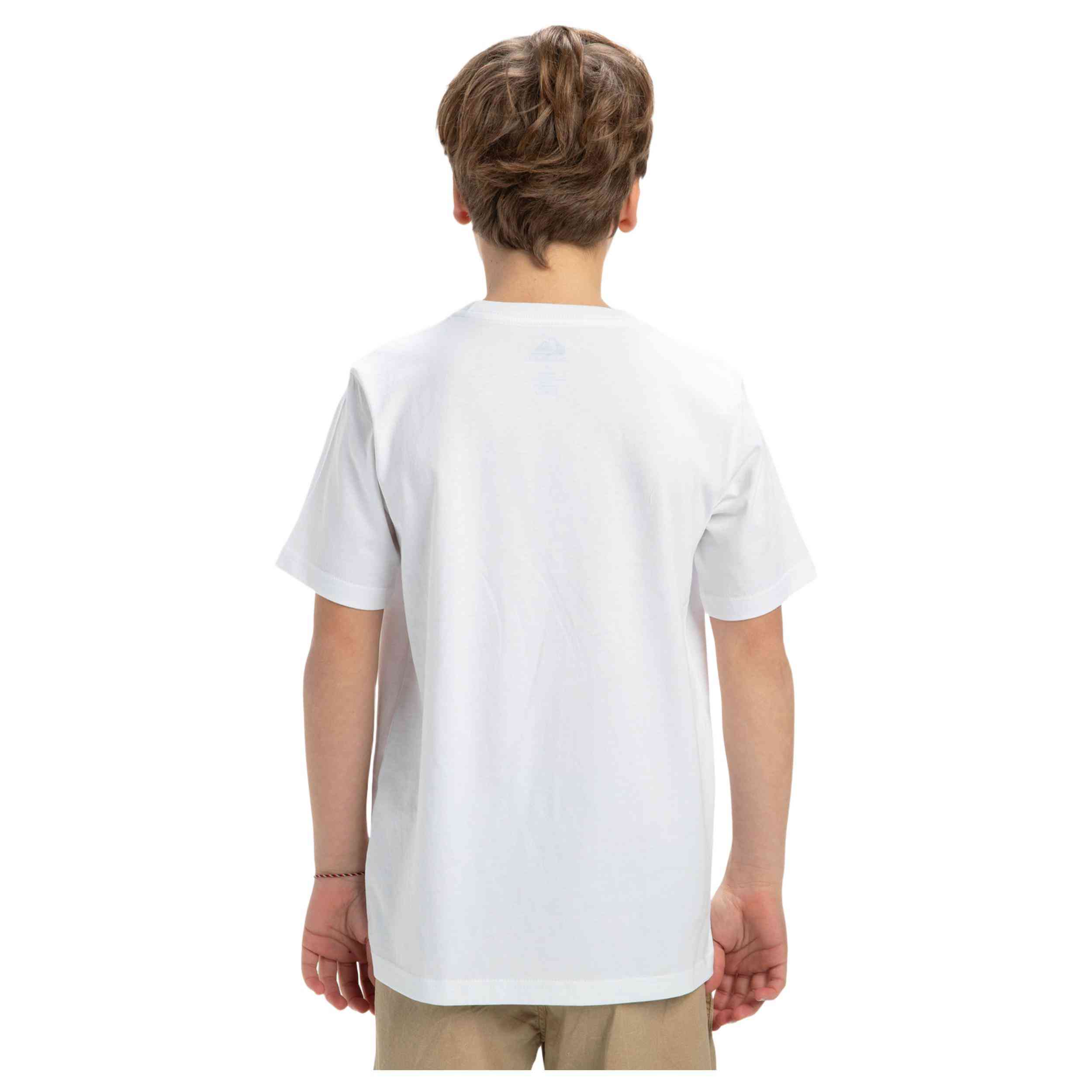 Camiseta De Manga Corta Quiksilver Ev Skull Feast
