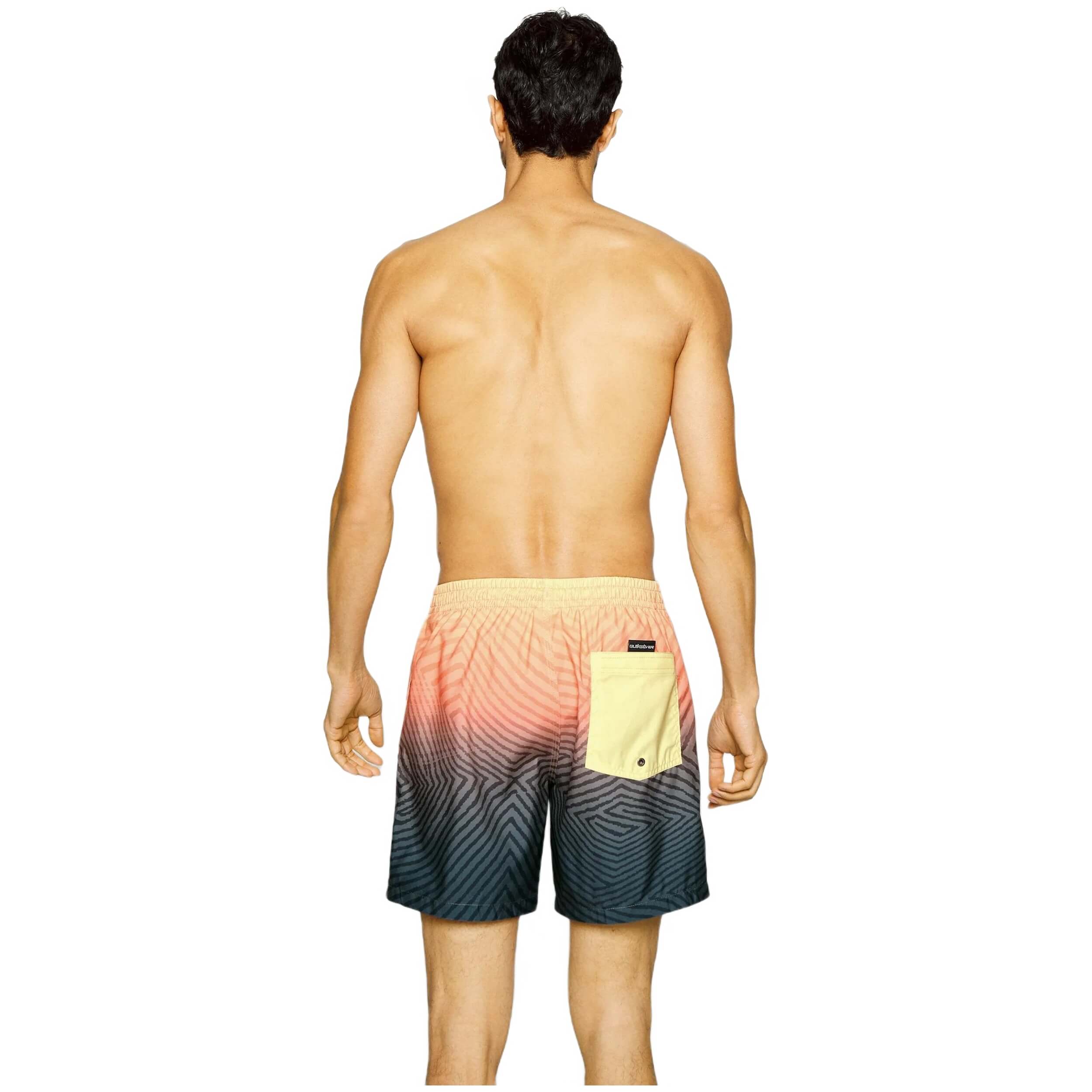 Bañador Quiksilver Everyday Warped Logo Volley 17