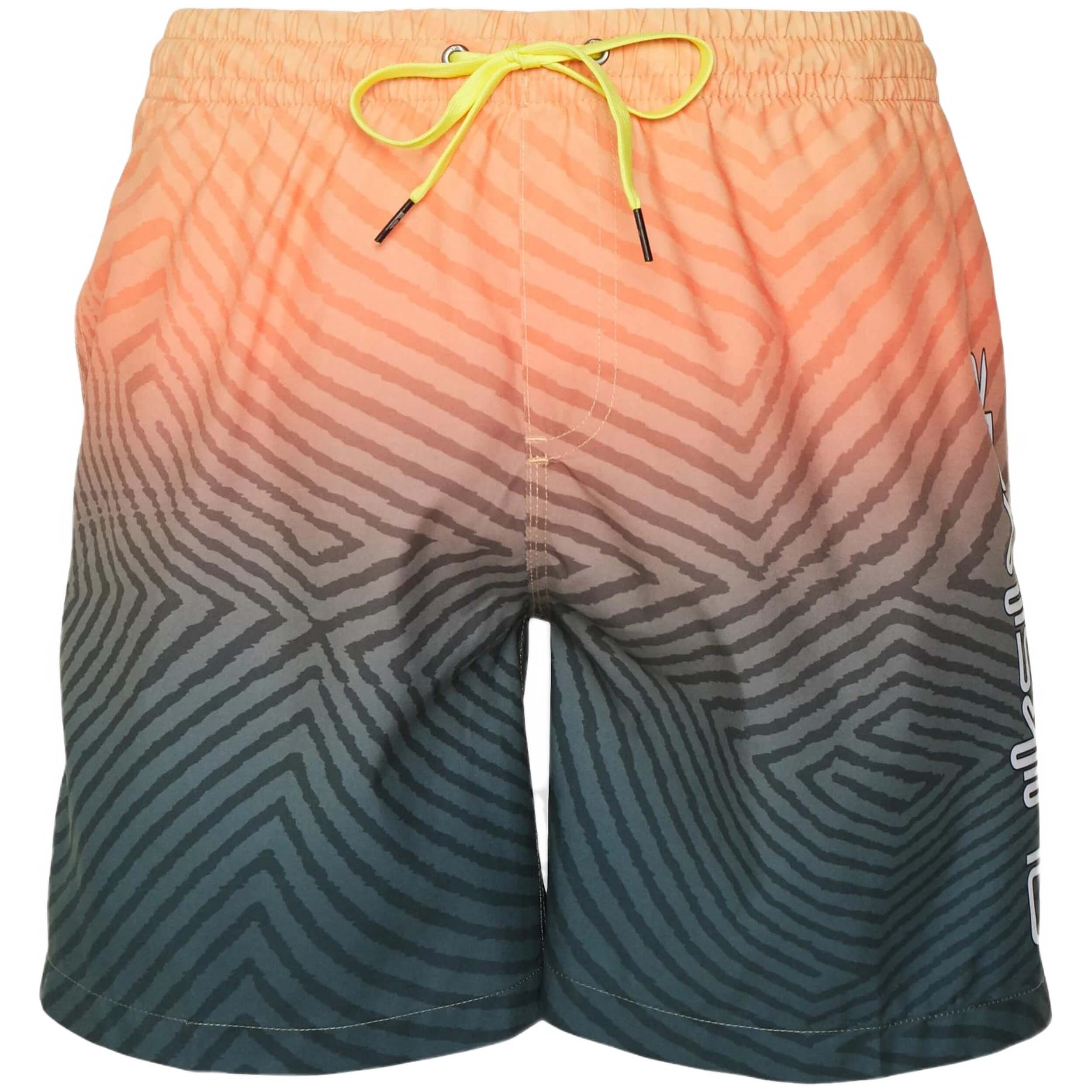 Bañador Quiksilver Everyday Warped Logo Volley 17