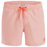 Bañador Quiksilver Everyday Deluxe 15