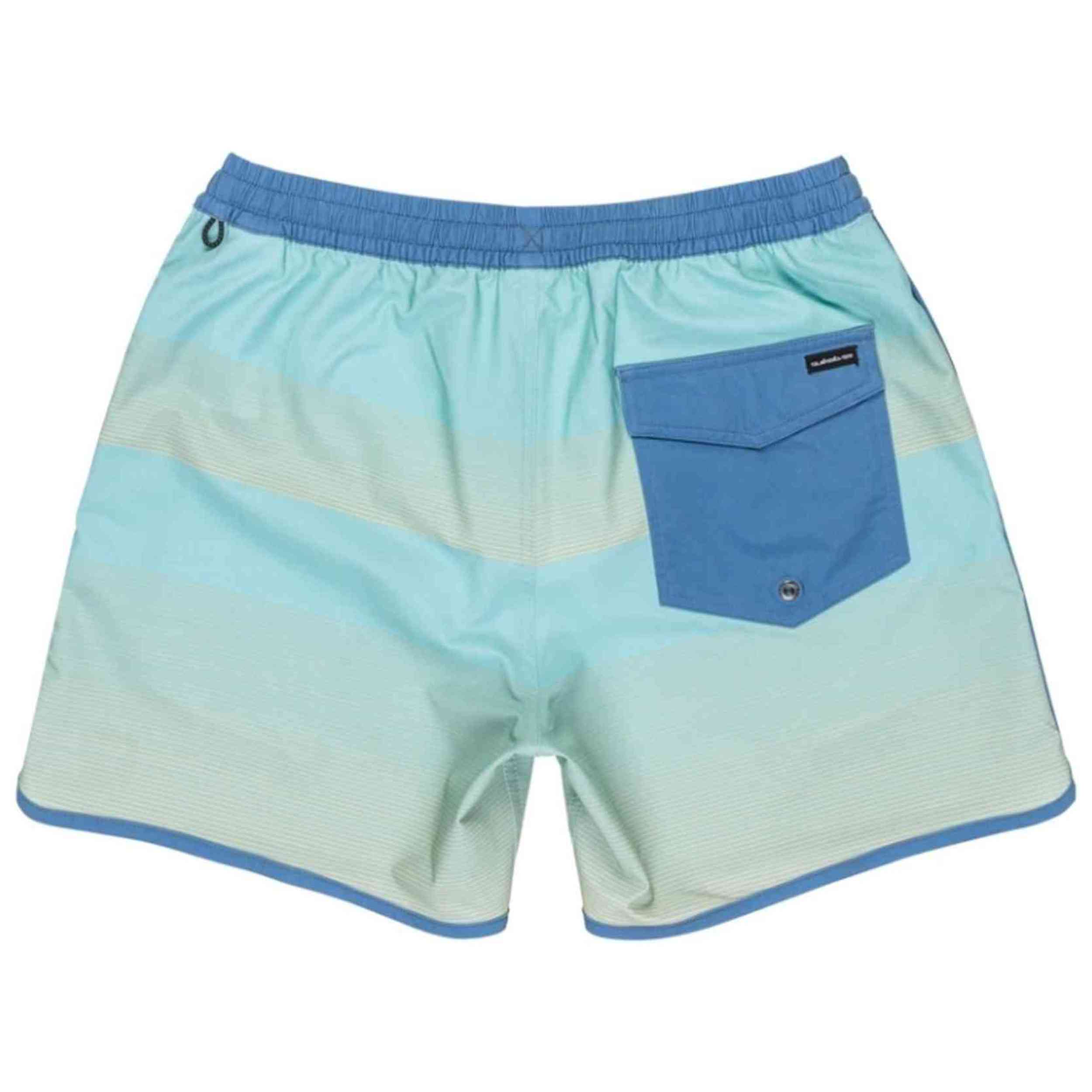 Bañador Quiksilver Surfsilk Scallop 16