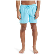 Bañador Quiksilver Everyday 15