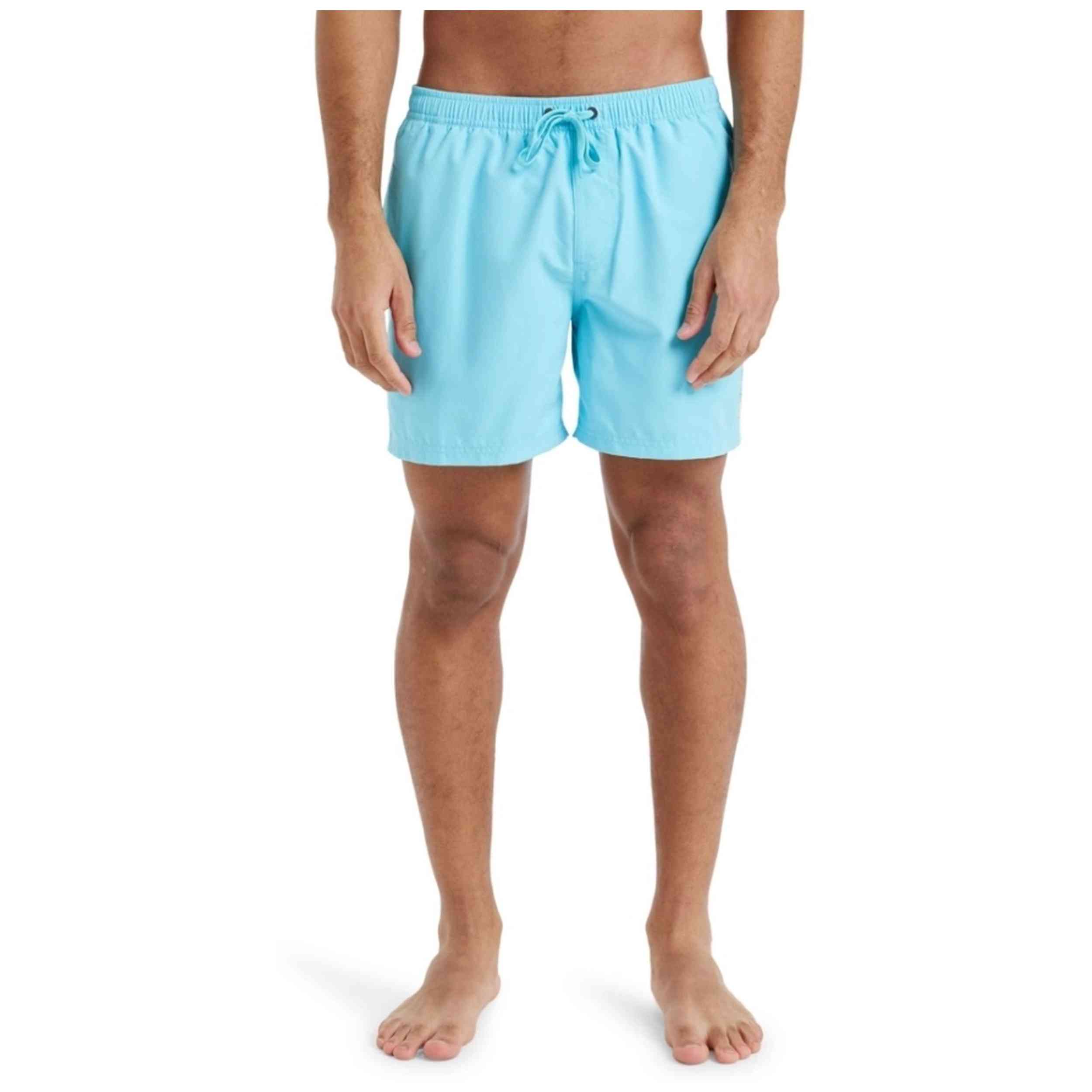 Bañador Quiksilver Everyday 15