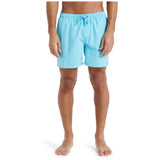 Bañador Quiksilver Everyday 15