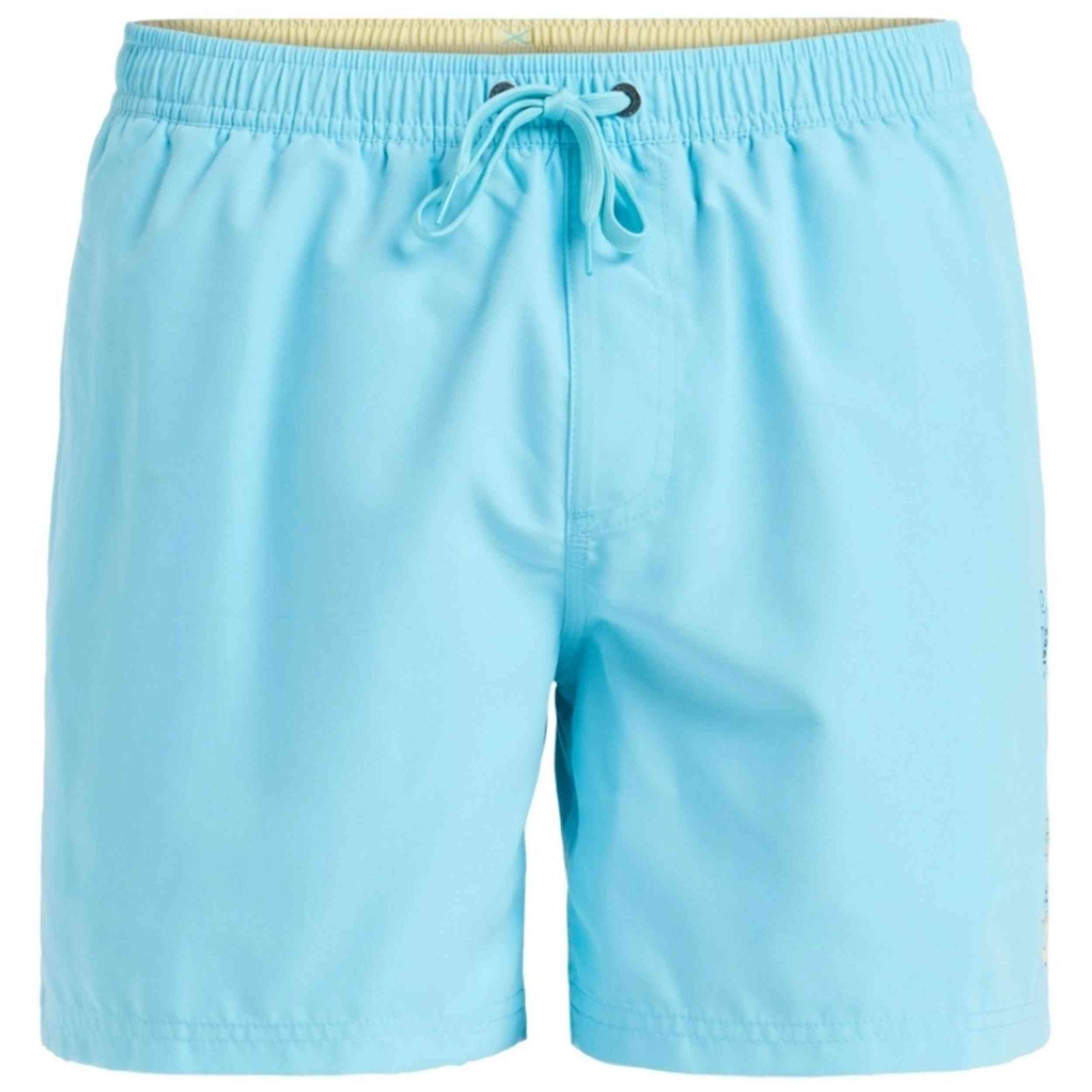 Bañador Quiksilver Everyday 15
