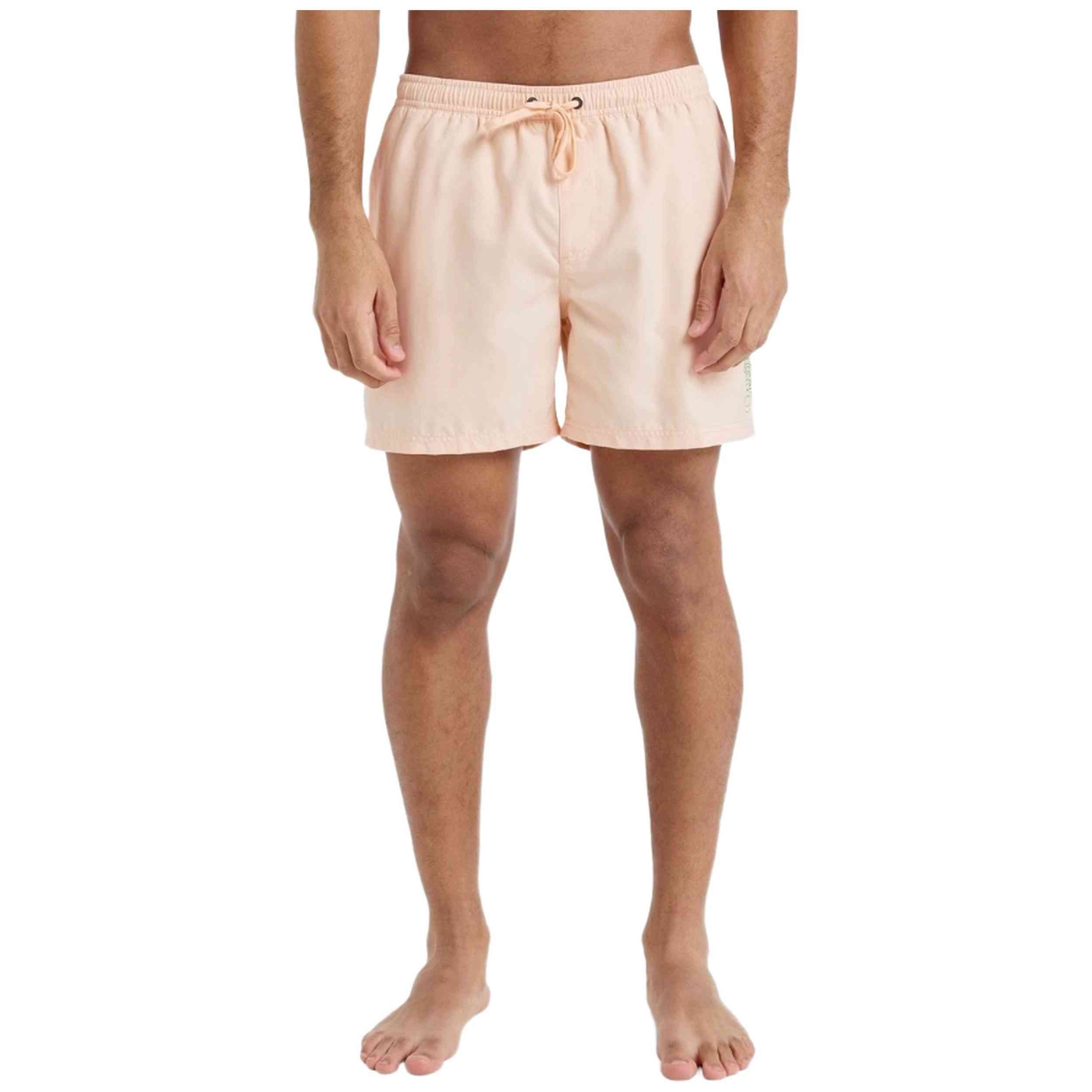 Bañador Quiksilver Everyday Deluxe Volley 15
