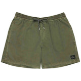 Bañador Quiksilver Everyday Surfwash Volley 15