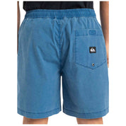 Bañador Quiksilver Taxer Ws