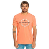 Camiseta De Manga Corta Quiksilver Passthepride