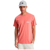 Camiseta De Manga Corta Quiksilver Ev Mini Logo