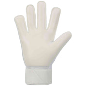 Imagen del producto con referencia FJ4862-100