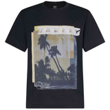 Camiseta De Manga Corta Oakley Palm